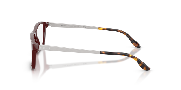 Gafas de Sol Ralph Lauren RL6128 6311 55 16 — vista 3