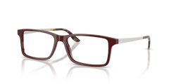 Gafas de Sol Ralph Lauren RL6128 6311 55 16