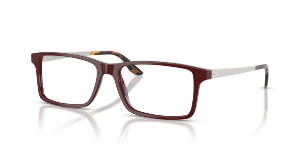 Gafas de Sol Ralph Lauren RL6128 6311 55 16