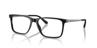 Sunglasses Ralph Lauren RL6133 5001 54 17