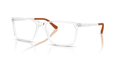 Sunglasses Ralph Lauren RL6133 5002 54 17