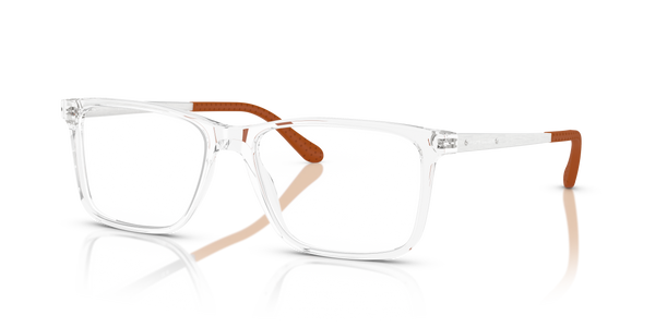 Gafas de Sol Ralph Lauren RL6133 5002 54 17