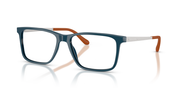 Gafas de Sol Ralph Lauren RL6133 5465 54 17
