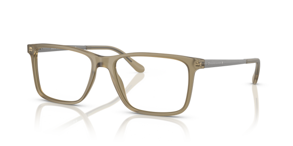 Gafas de Sol Ralph Lauren RL6133 5854 54 17