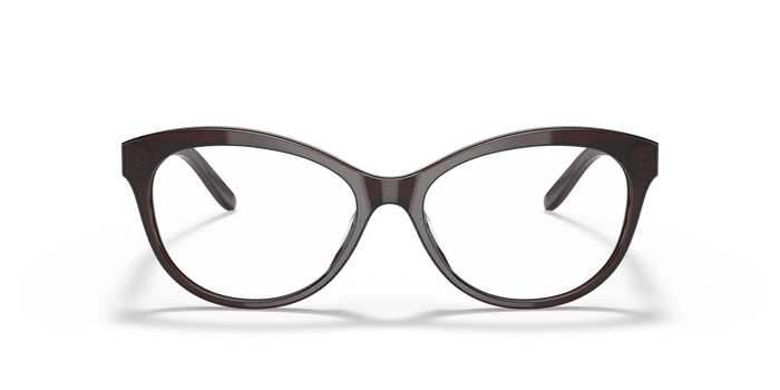Gafas de Sol Ralph Lauren RL6216U 5855 53 16 — vista 2
