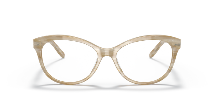 Sonnenbrille Ralph Lauren RL6216U 5994 55 16 — vista 2