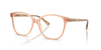 Sunglasses Ralph Lauren RL6222 6110 54 16