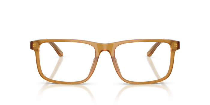 Gafas de Sol Ralph Lauren RL6225U 5275 54 17 — vista 2