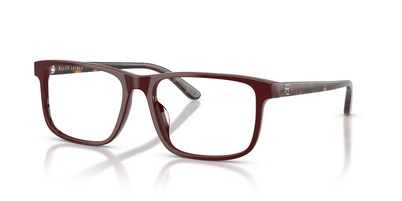 Gafas de Sol Ralph Lauren RL6225U 6311 54 17