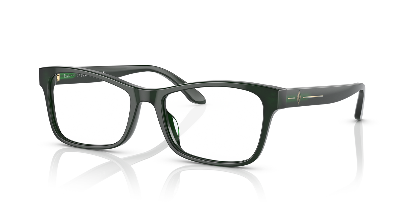 Gafas de Sol Ralph Lauren RL6229U 5421 54 17