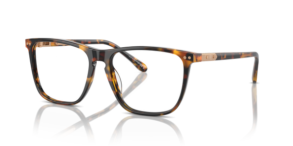 Gafas de Sol Ralph Lauren RL6242U 5134 55 16
