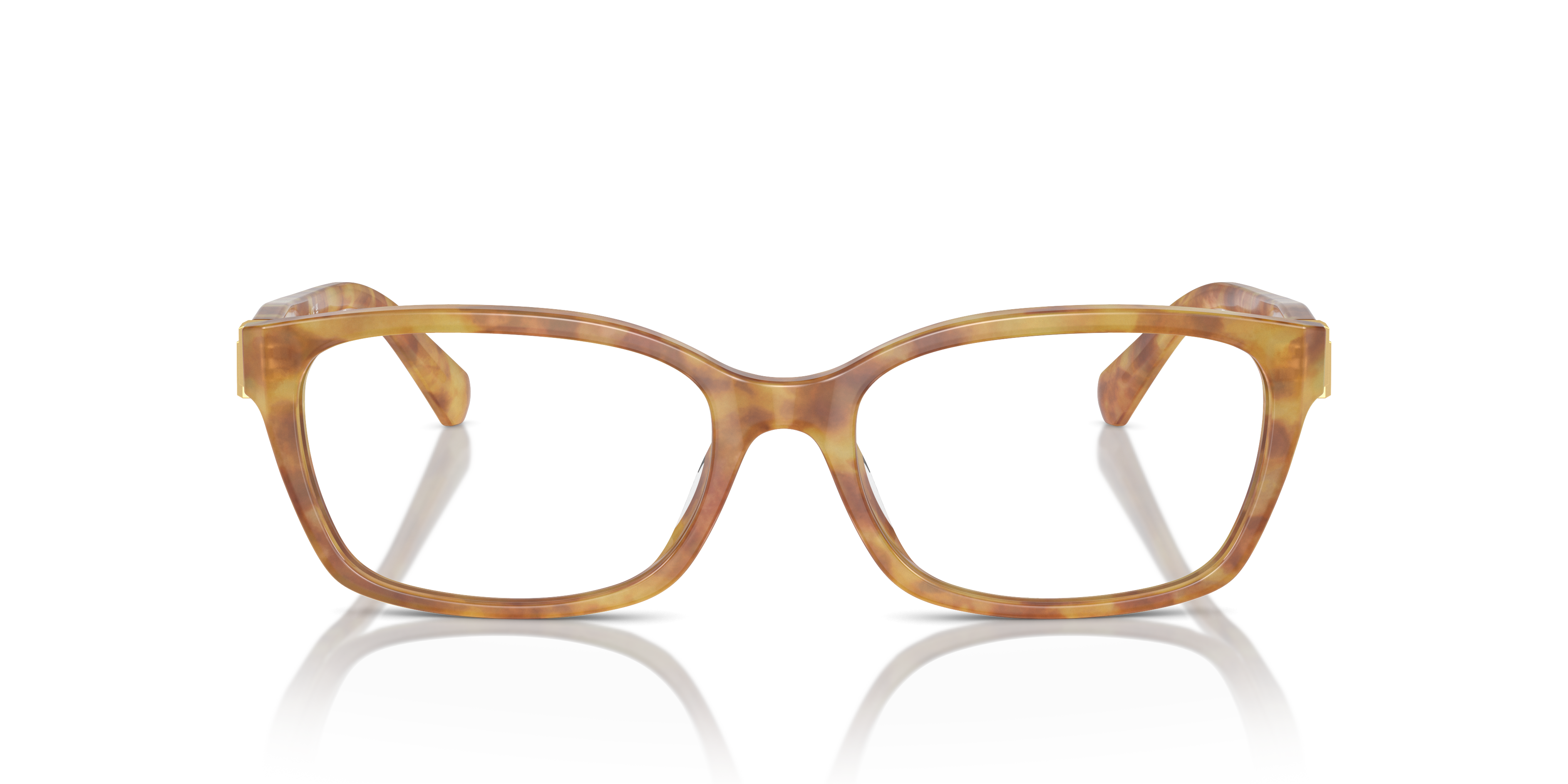 Gafas de Sol Ralph Lauren RL6244U 5304 53 17