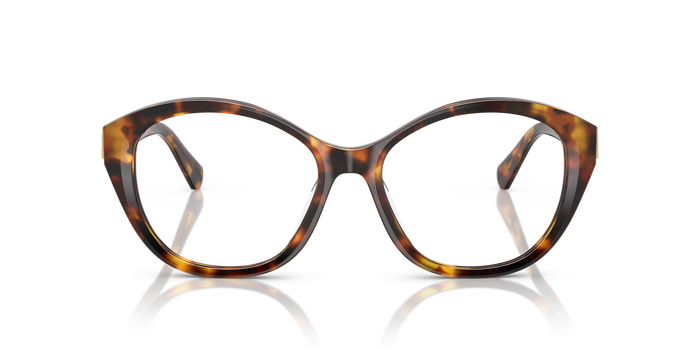 Sunglasses Ralph Lauren RL6246U 5134 53 17 — vista 2