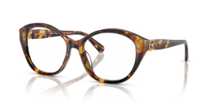 Sunglasses Ralph Lauren RL6246U 5134 53 17
