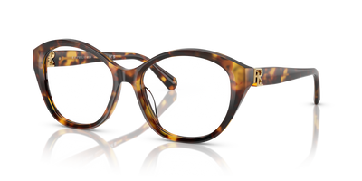Sonnenbrille Ralph Lauren RL6246U 5134 53 17