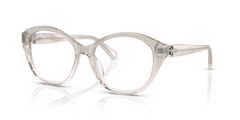 Gafas de Sol Ralph Lauren RL6246U 6112 53 17