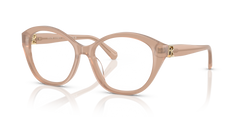 Sonnenbrille Ralph Lauren RL6246U 6217 53 17