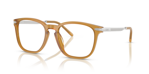 Gafas de Sol Ralph Lauren RL6248U 5275 52 19