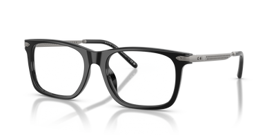 Gafas de Sol Ralph Lauren RL6253U 5001 53 18