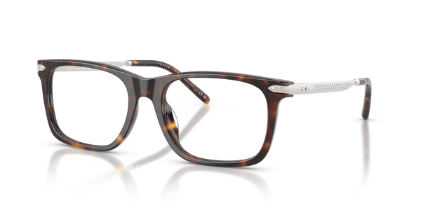Gafas de Sol Ralph Lauren RL6253U 5003 53 18