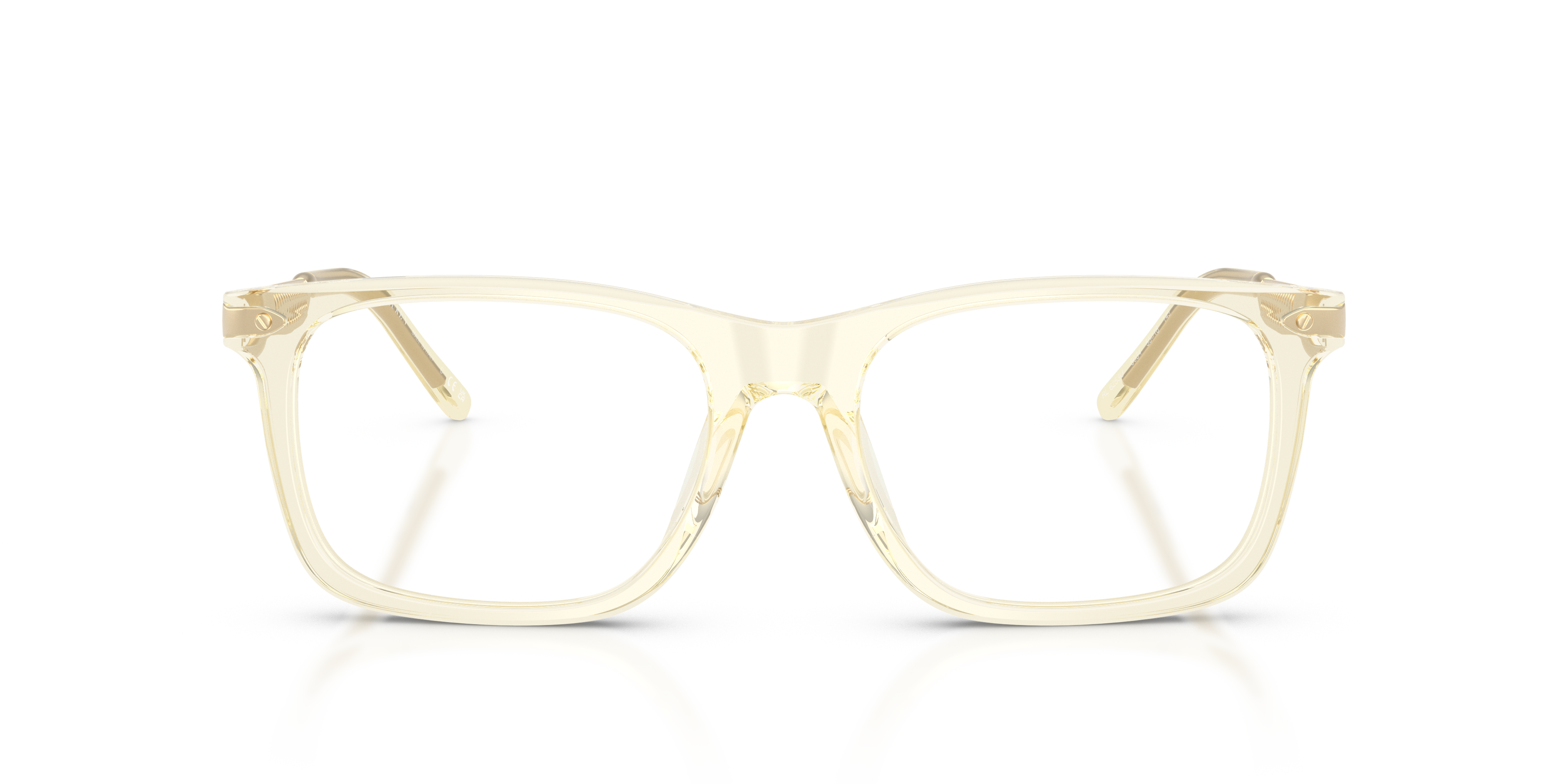 Gafas de Sol Ralph Lauren RL6253U 5034 53 18