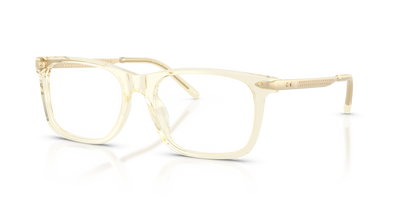 Gafas de Sol Ralph Lauren RL6253U 5034 53 18