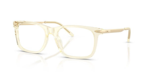 Gafas de Sol Ralph Lauren RL6253U 5034 53 18