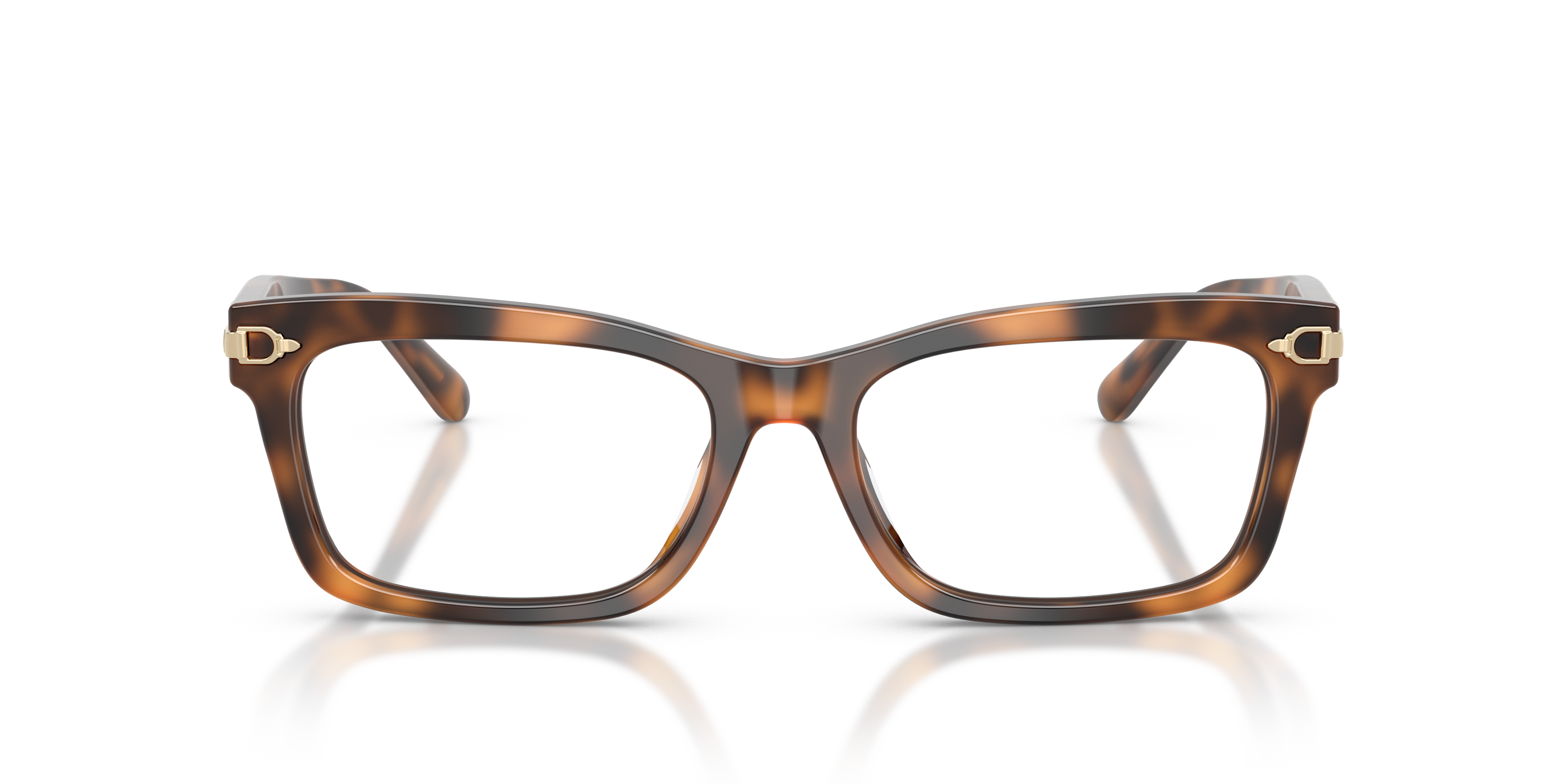 Gafas de Sol Ralph Lauren RL6255U 6089 53 17