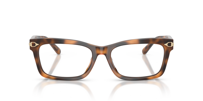 Gafas de Sol Ralph Lauren RL6255U 6089 53 17 — vista 2