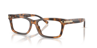 Gafas de Sol Ralph Lauren RL6255U 6089 53 17
