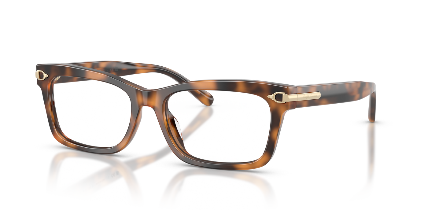 Sonnenbrille Ralph Lauren RL6255U 6089 55 17