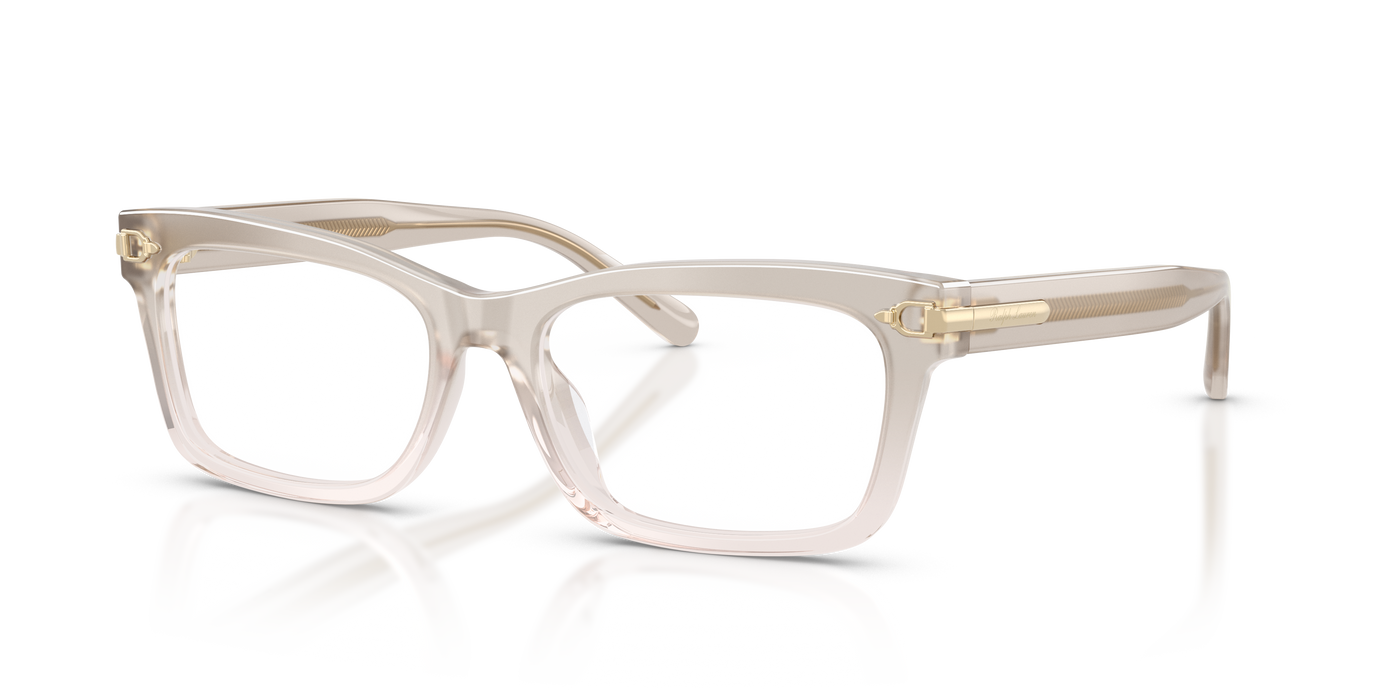 Gafas de Sol Ralph Lauren RL6255U 6112 53 17