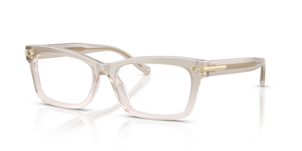 Gafas de Sol Ralph Lauren RL6255U 6112 53 17