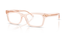 Gafas de Sol Ralph Lauren RL6255U 6305 53 17