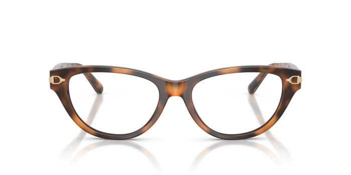 Sonnenbrille Ralph Lauren RL6257U 6089 52 17 — vista 2