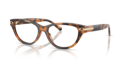 Gafas de Sol Ralph Lauren RL6257U 6089 52 17