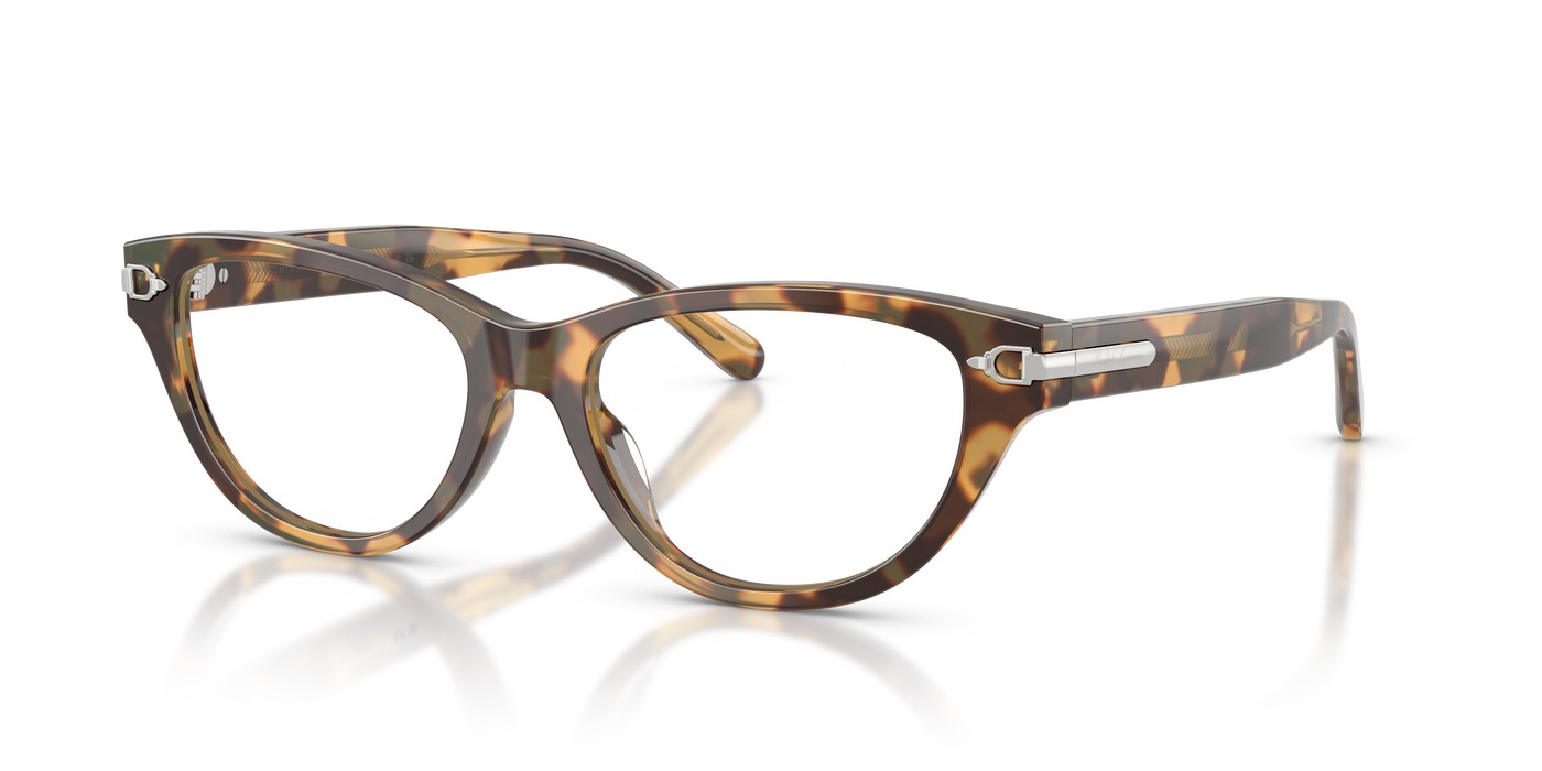 Sonnenbrille Ralph Lauren RL6257U 6178 52 17