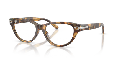 Gafas de Sol Ralph Lauren RL6257U 6178 52 17