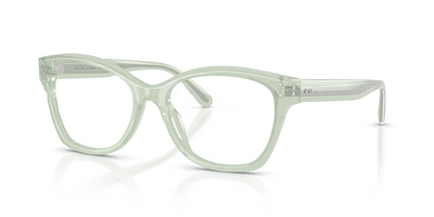 Gafas de Sol Ralph Lauren RL6259U 6308 55 17