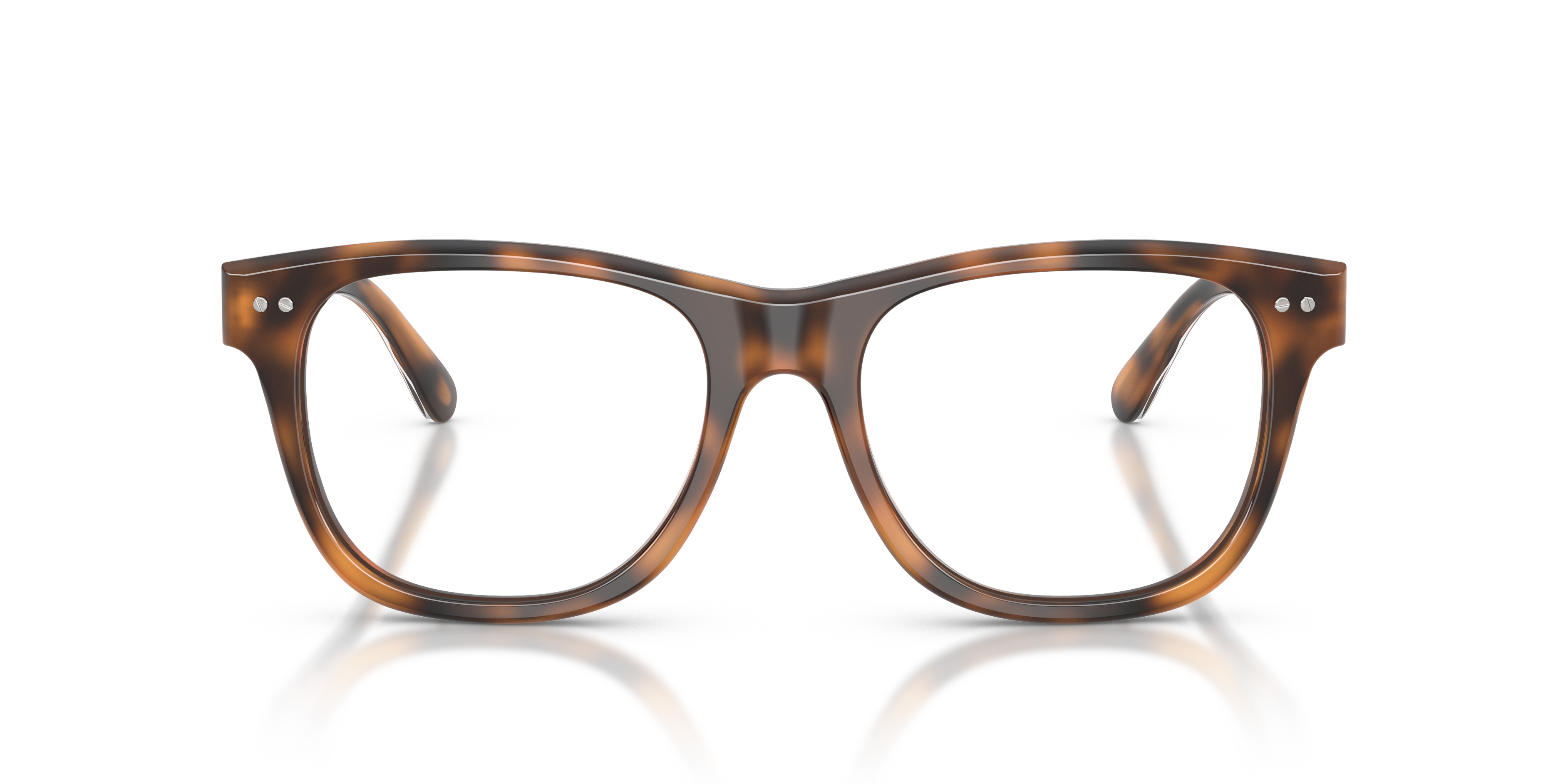 Gafas de Sol Ralph Lauren RL6260U 6089 54 18