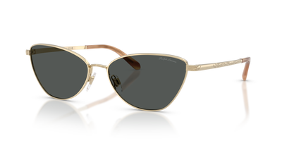 Sunglasses Ralph Lauren RL7093 911687 60 16