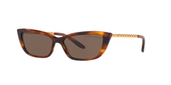 Gafas de Sol Ralph Lauren RL8173 500773 55 15