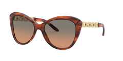 Солнцезащитные очки Ralph Lauren RL8184 500718 56 17