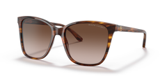 Ralph Lauren RL8201 500713 56 17 太阳镜