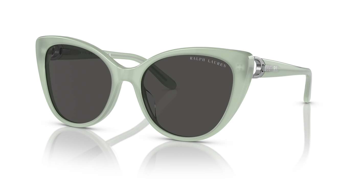 Sonnenbrille Ralph Lauren RL8215BU 608287 56 18