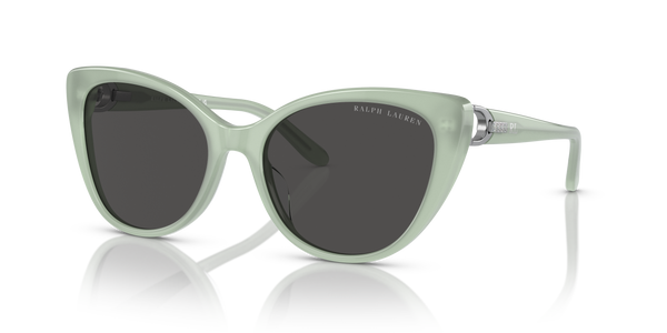 Gafas de Sol Ralph Lauren RL8215BU 608287 56 18