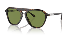 Ralph Lauren The Hugh RL8219U 50034E 58 18 太阳镜