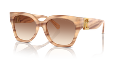 Ralph Lauren The Overszed Ricky RL8221 617913 55 18 太阳镜