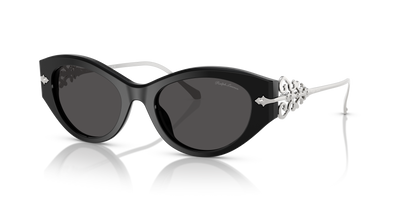 Sunglasses Ralph Lauren RL8227U 500187 52 19