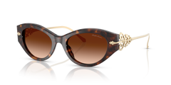 Ralph Lauren RL8227U 500374 52 19 太阳镜